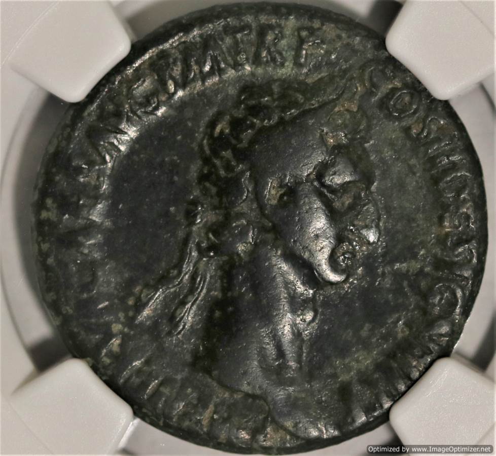 NERVA AE As AD 96-98 NGC VERY FINE – Bellisario Rare Coin Gallery | Top ...